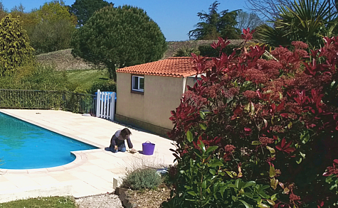 catherine_parkinson_dolphin_gites_vendee