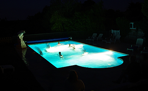 heated_pool_dolphin_gites_vendee