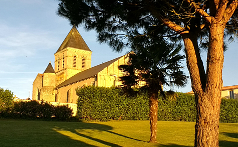 dolphin_gites_vendee_heated_pool